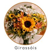 Girassol