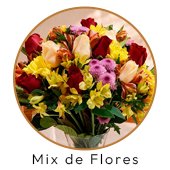 Mix de Flores