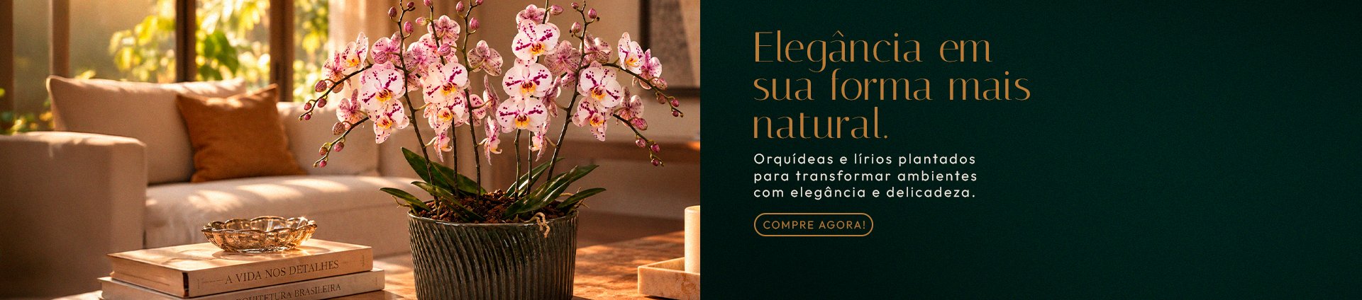 Plantados - Super