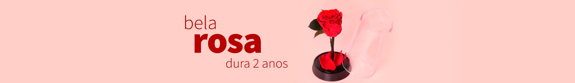 A Bela Rosa Encantada