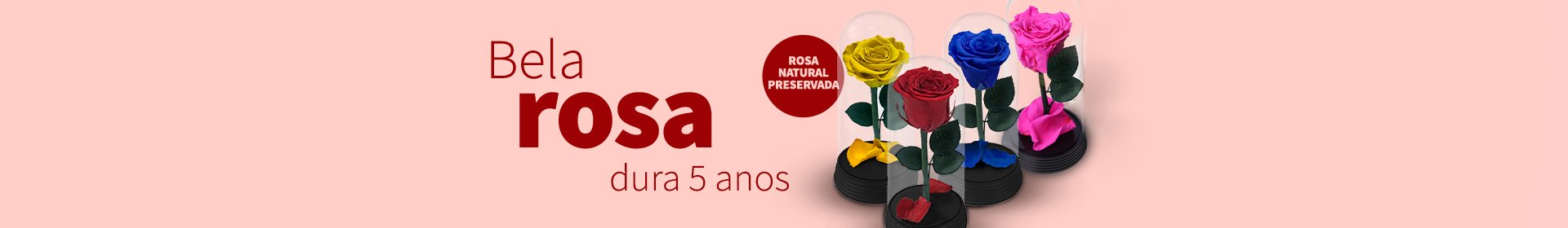 A Bela Rosa Encantada