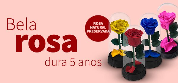 A Bela Rosa Encantada