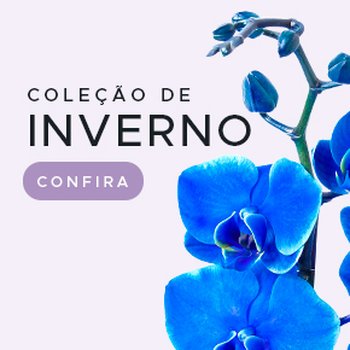 Banner Presentes de Inverno