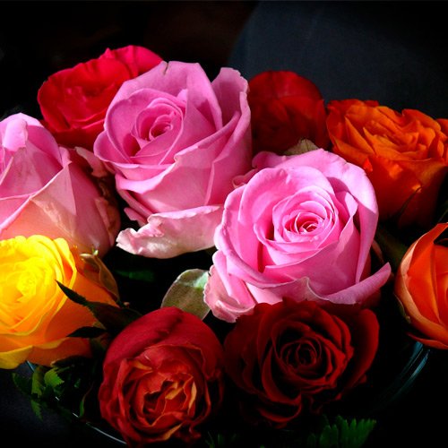 Buquê de Rosas Coloridas
