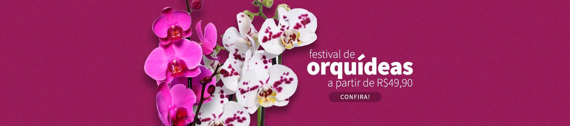 Promoção de Orquídeas - Super