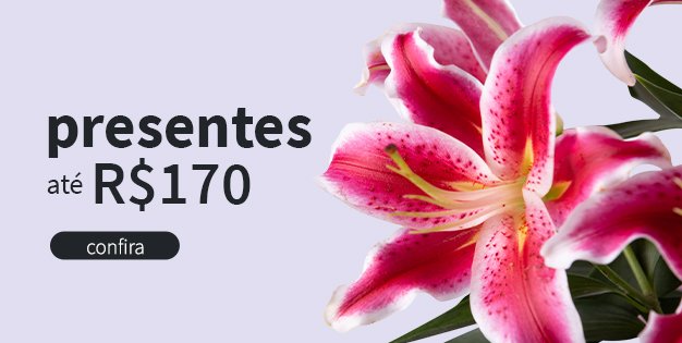 Flores  e Presentes até R$170
