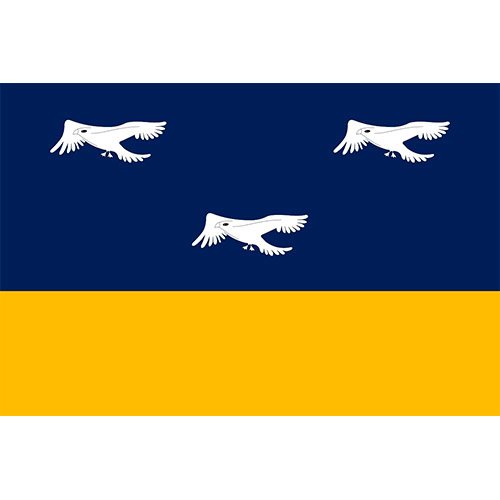 Bandeira-da-Cidade-de-Arapongas-PR