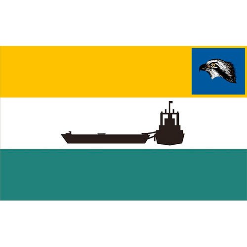 Bandeira-da-Cidade-de-Caracarai-RR