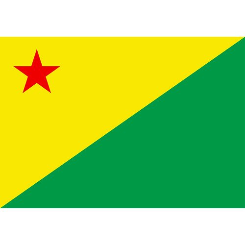 Bandeira da cidade de Feijó-AC 
