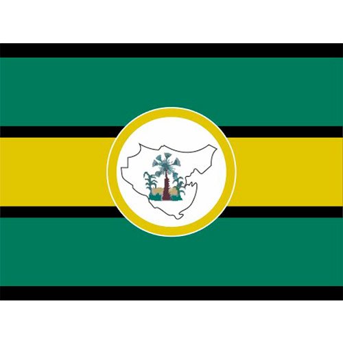 Bandeira da cidade de Piripiri-PI