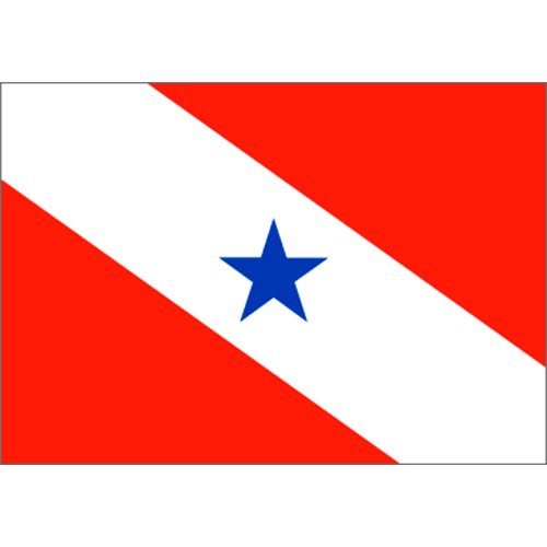 Bandeira-da-Cidade-de-Sao-Felix-do-Xingu-PA