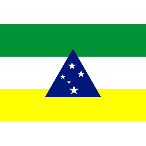 Bandeira da cidade de Tefé - AM