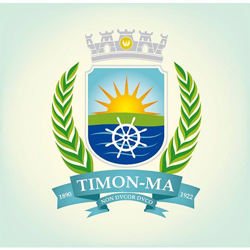 Bandeira da Cidade de Timon