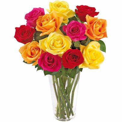 Brilhantes Rosas Coloridas no Vaso | Nova Flor