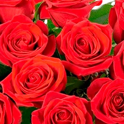 Buquê de 12  Rosas Vermelhas com Ferrero Rocher e Chandon
