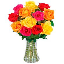 Inspiração 12 Rosas Coloridas no Vaso