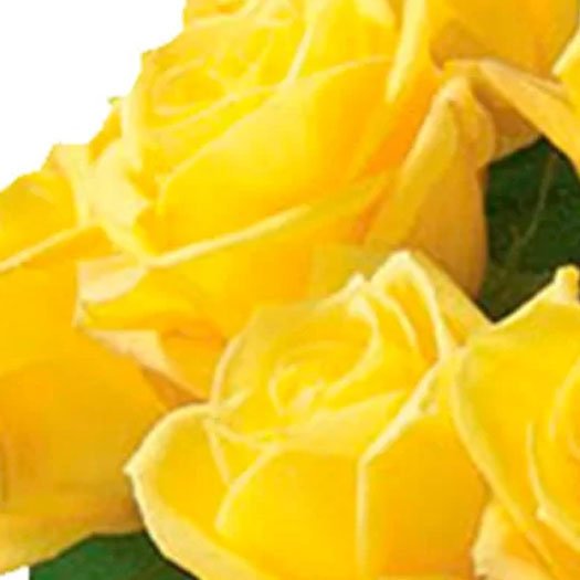 Luxuosas 12 Rosas Amarelas no Vaso
