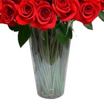 100 Rosas Colombianas no Vaso