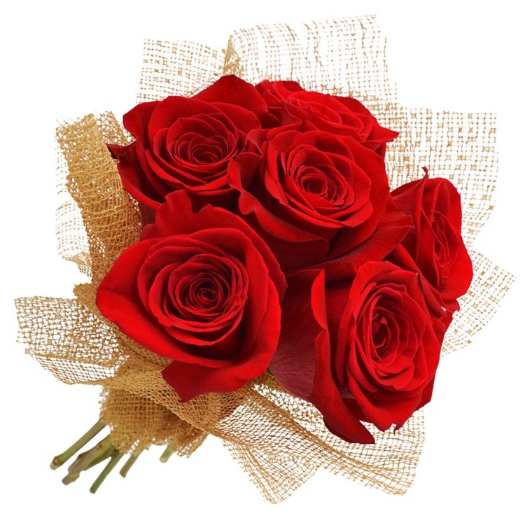 Buquê Delicadeza com Rosas Vermelhas | Nova Flor