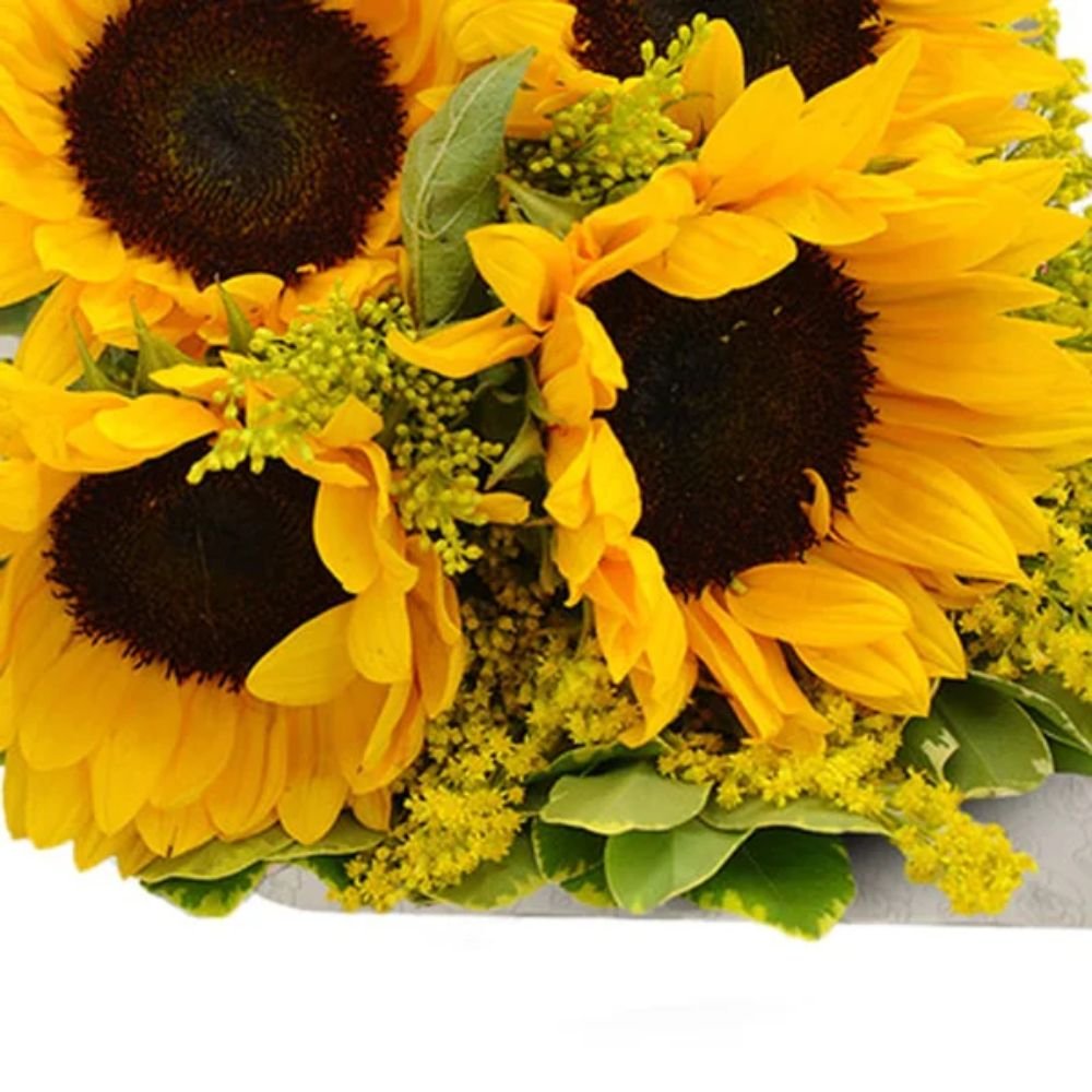 Buquê de 4 Girassóis Te Adoro