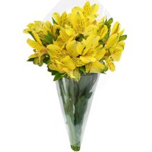 Buquê de Astromélias Amarelas com 10 Unidades