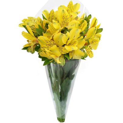 Buquê de Astromélias Amarelas com 10 Unidades