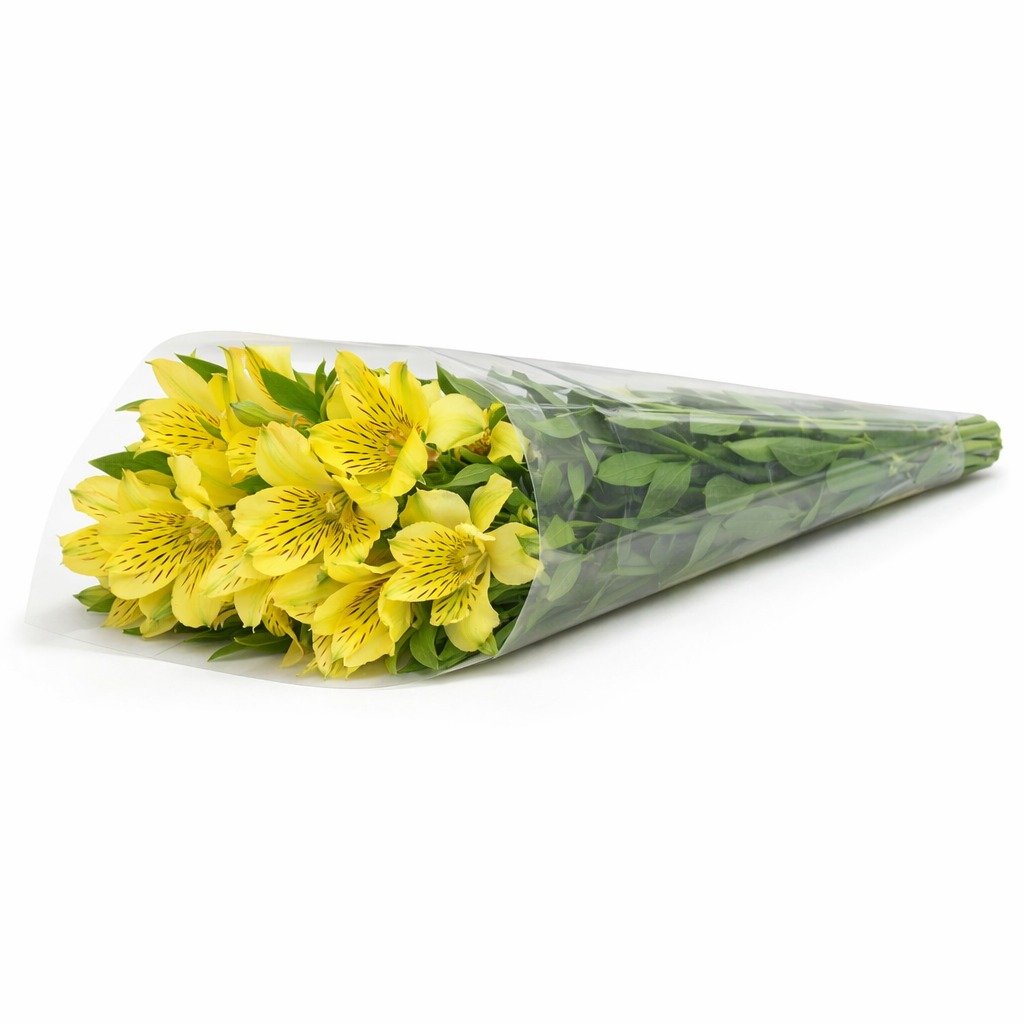 Buquê de Astromélias Amarelas com 10 Unidades