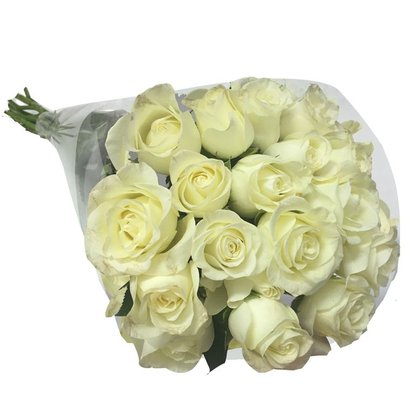 Buquê de Rosas Brancas com 20 Unidades