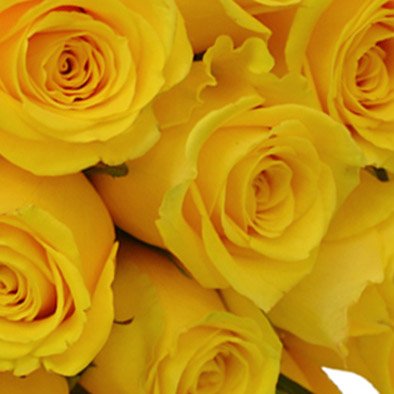 Buquê de 18 Rosas Amarelas