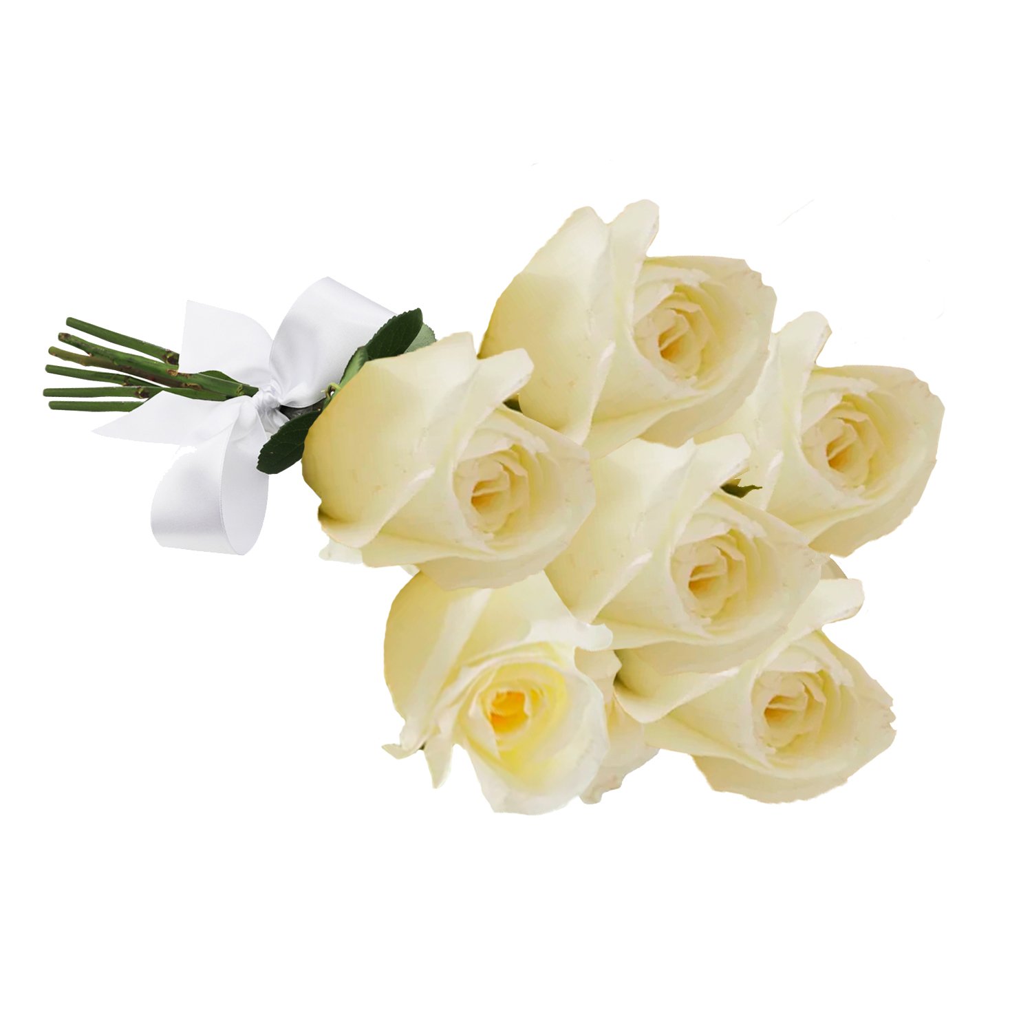 Buquê de Rosas Brancas | Nova Flor