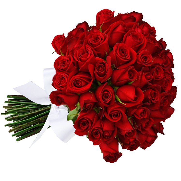 Buquê de 42 Rosas Vermelhas | Nova Flor