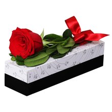 Sensacional Rosa Importada Vermelha