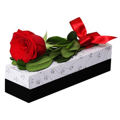 Sensacional Rosa Importada Vermelha