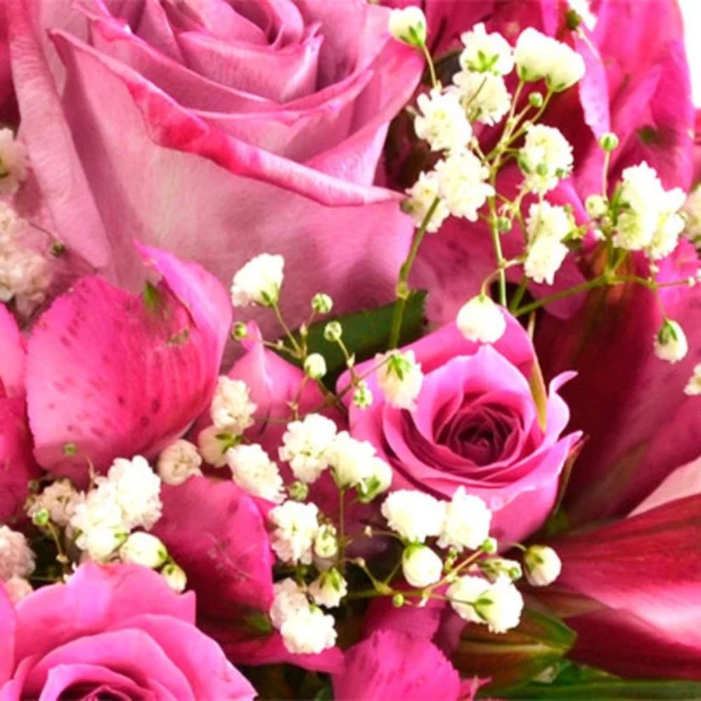 Declaração de Sentimentos