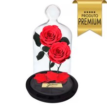 Jardim das Rosas Encantadas