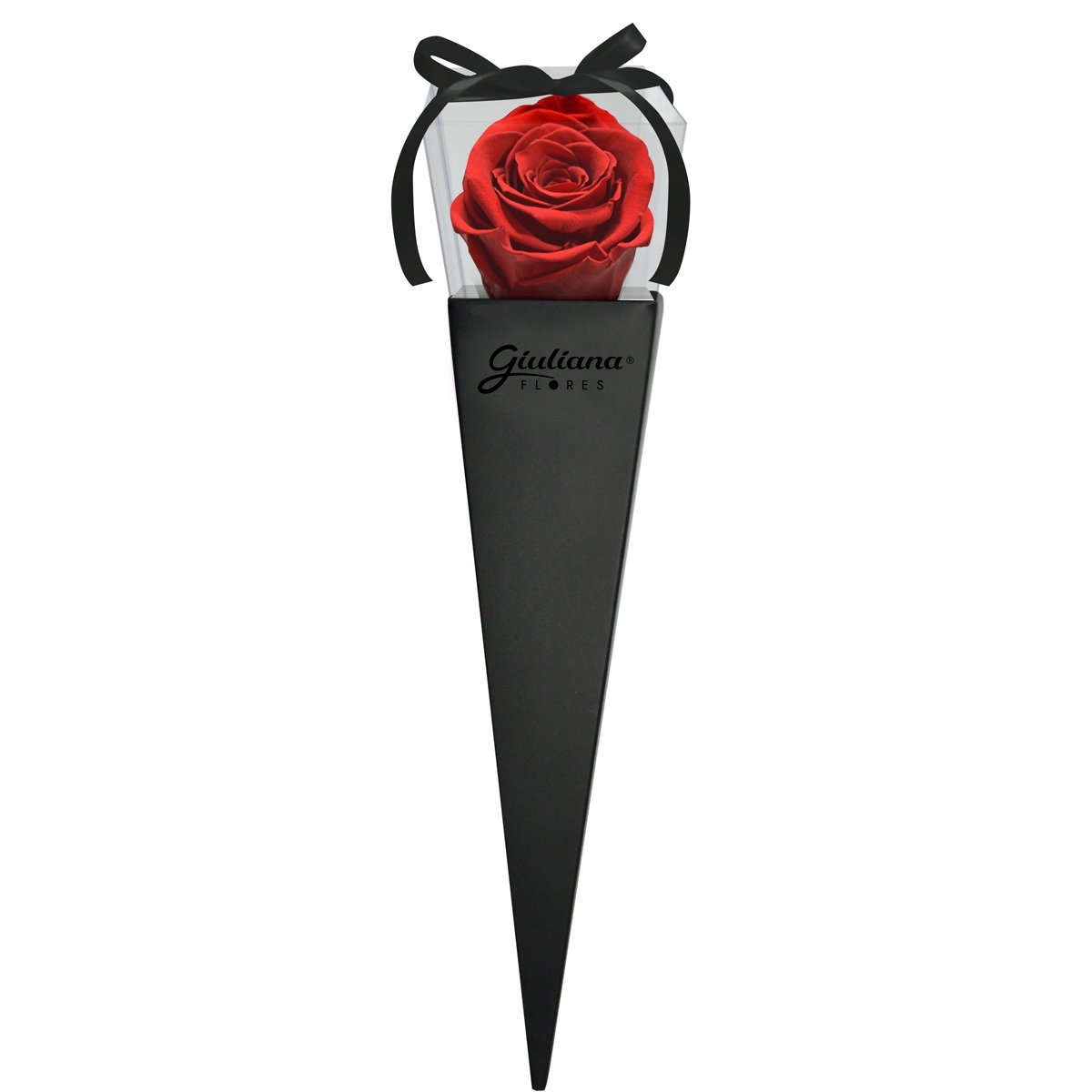 Cone Preto de Rosa Encantada Vermelha | Nova Flor