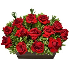 Exuberante Arranjo de Rosas Vermelhas