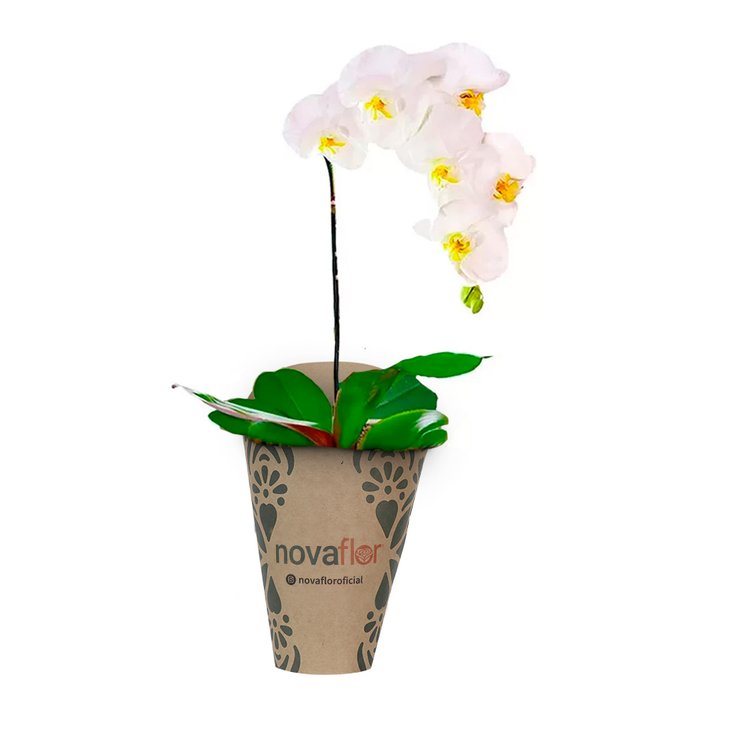 Orquídea Branca Kraft