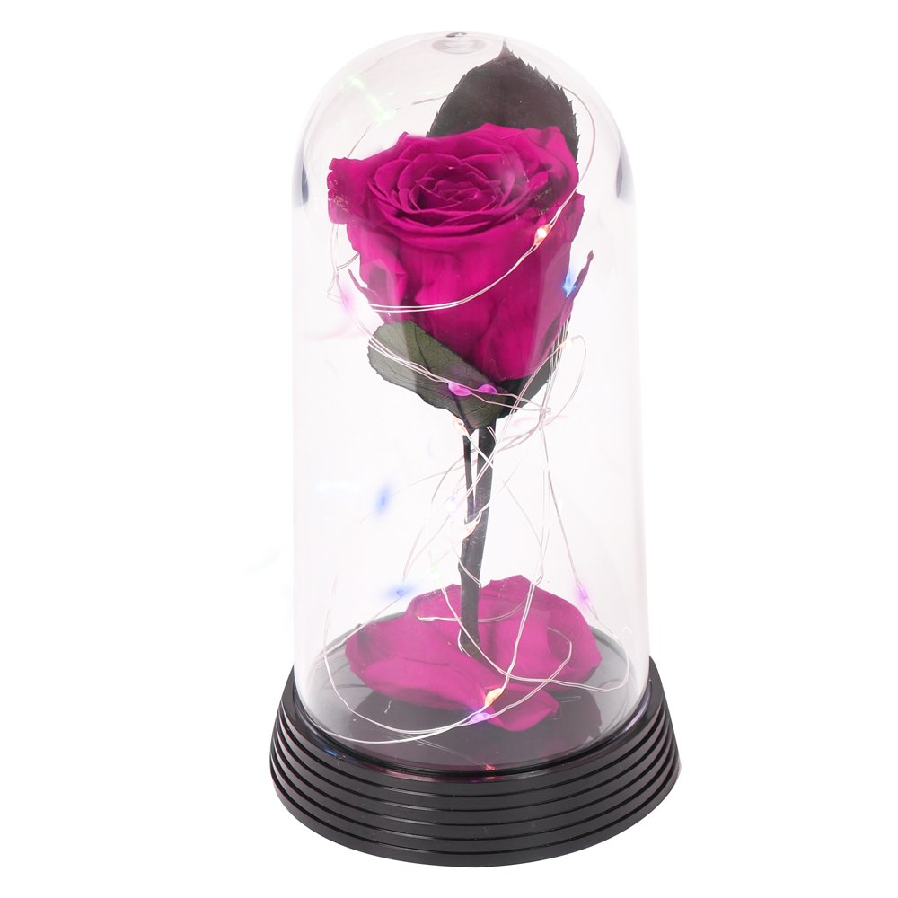 Bela Rosa Encantada Estrelada Pink | Nova Flor