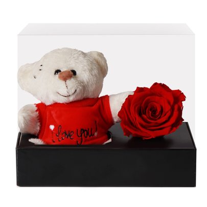 Caixa de Presente Rosa Encantada e Urso Dodói