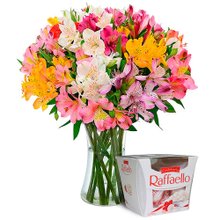 Luxuosas Astromélias e Rafaello