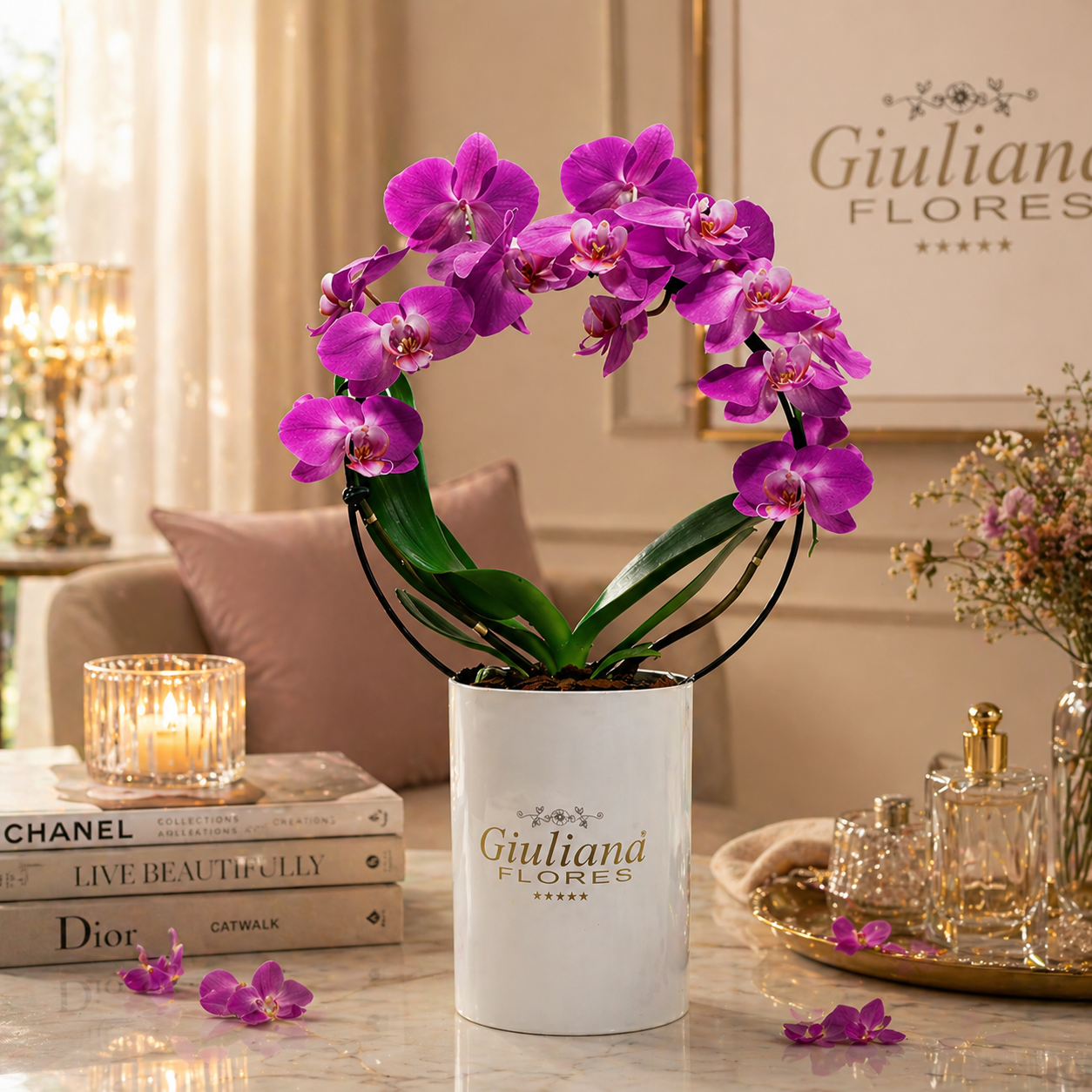 Orquídea Phalaenopsis Pink em Arco