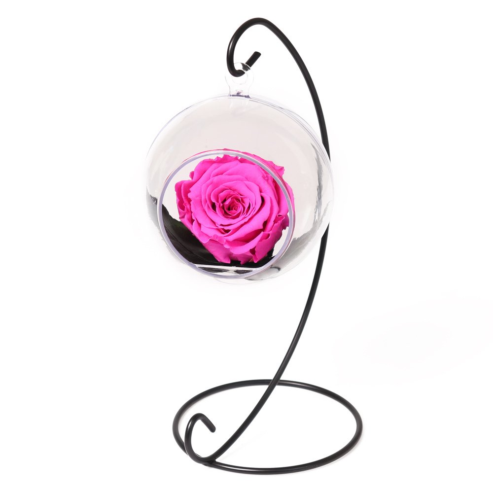 Pêndulo de Rosa Encantada Pink | Nova Flor