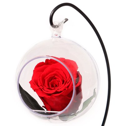 Pêndulo de Rosa Encantada Vermelha