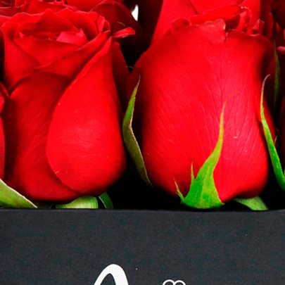 Rosas Vermelhas no Box "Amo Você"