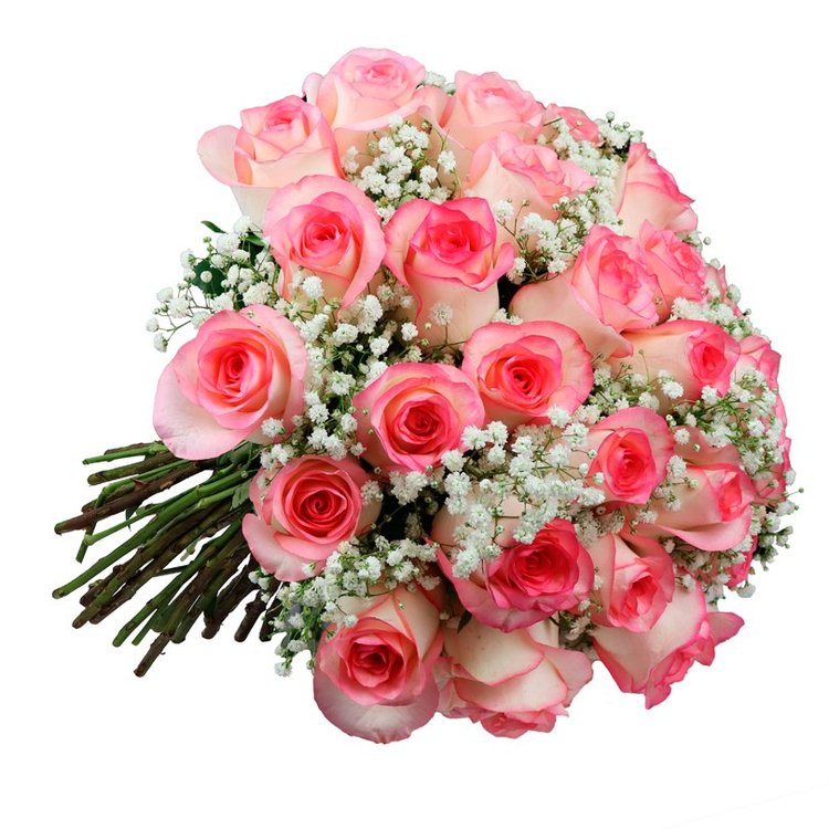 29713gg.jpg?ims=750x750