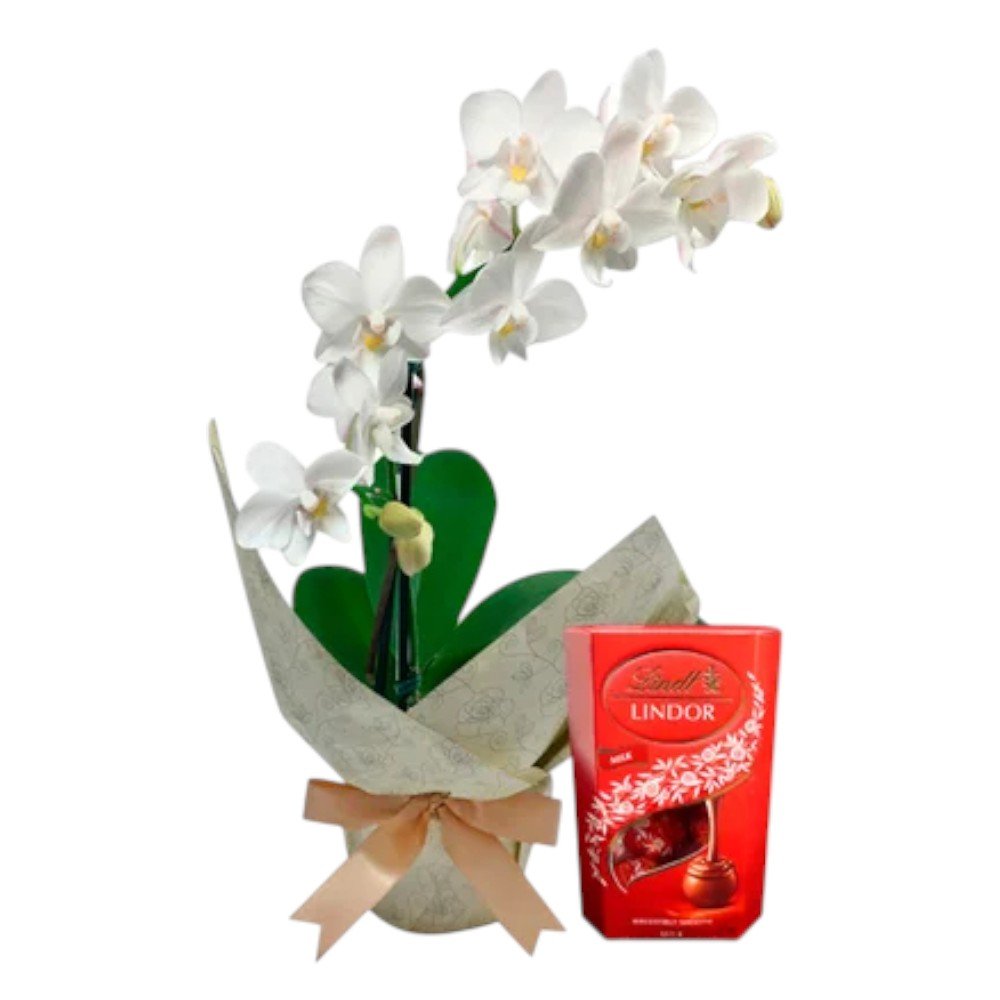 Mini Orquídea Rara e Caixa de Bombons Lindt