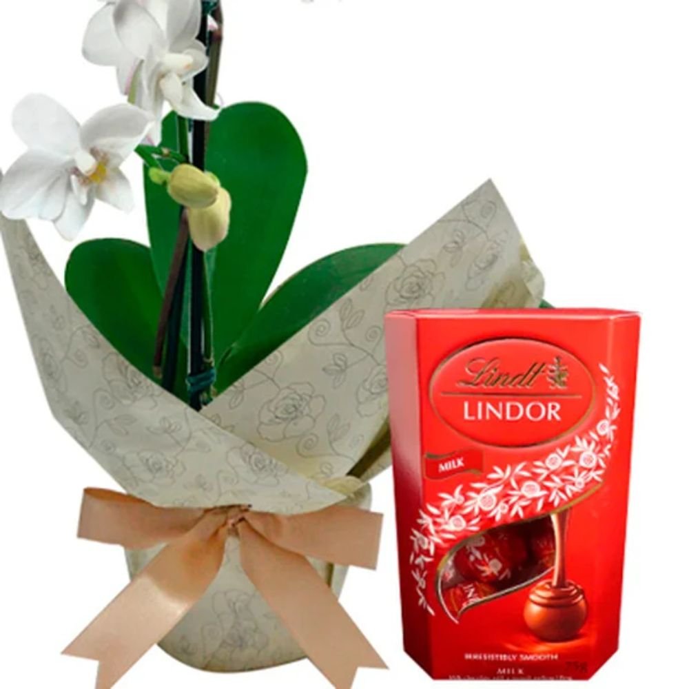 Mini Orquídea Rara e Caixa de Bombons Lindt