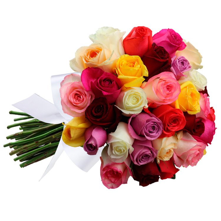 Buquê de 36 Rosas Coloridas | Nova Flor