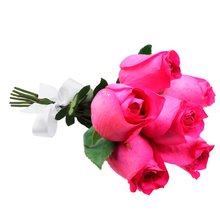 Buquê de 6 Rosas Pink